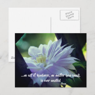 Clematis Blomma Vänlighet Inspirerande Citat Vykort