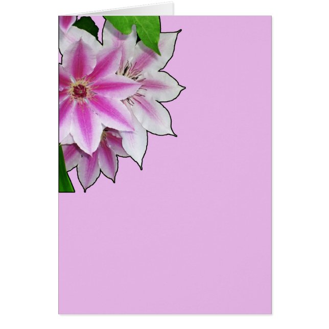 Clematis-blommans utformning på lavender hälsningskort (Framsidan)
