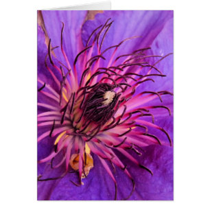 CLEMATIS CARD HÄLSNINGSKORT