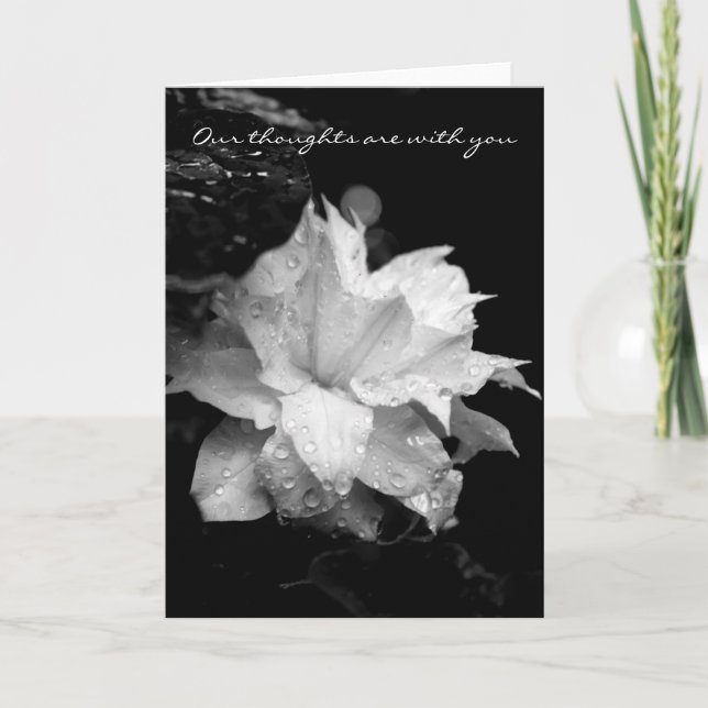 Clematis Dewdrops 2 Condolences Sympathy Card Tack Kort (Framsida)