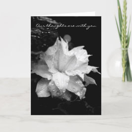 Clematis Dewdrops 2 Condolences Sympathy Card Tack Kort