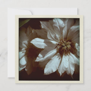 Clematis Floral Photography 2 Funeral Notice Inbjudningar