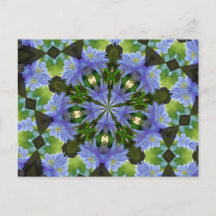Clematis Flower Kaleidoscope-vykort Vykort