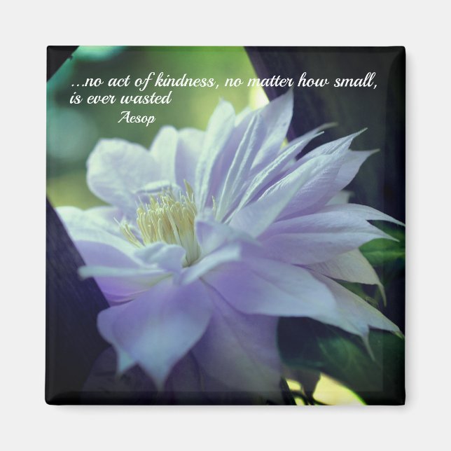 Clematis Flower Kindness inspirational Magnet (Framsidan)