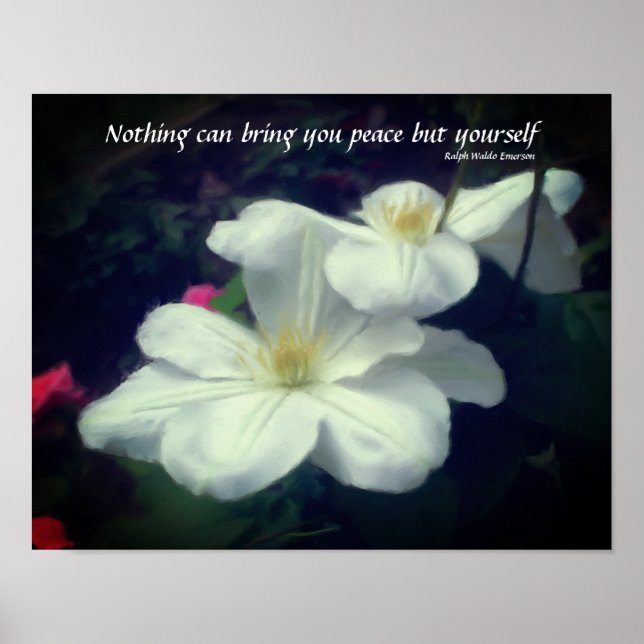 Clematis Flower Peace Quote inspirational Poster (Framsidan)