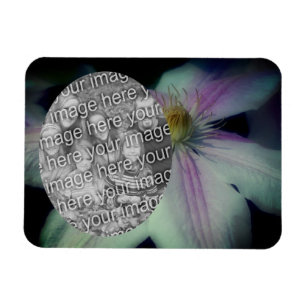 Clematis Flower Petals Ram Skapar ditt eget foto Magnet