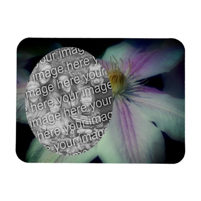 Clematis Flower Petals Ram Skapar ditt eget foto Magnet (Horisontell)