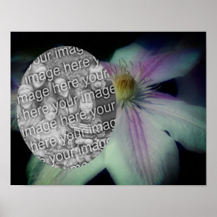 Clematis Flower Petals Ram Skapar ditt eget foto Poster