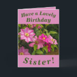 Clematis Flowers Birthday Card for Sister Kort<br><div class="desc">Blanka rosa Clematis-blommor gör en underbar bild för det här färgfulla födelsedagskortet för syster.  All text kan lätt vara personlig.</div>