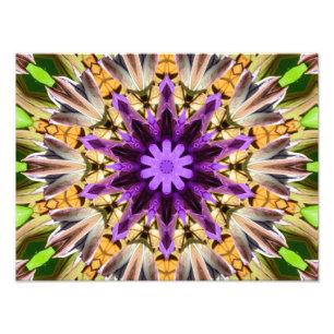 CLEMATIS FOTOTRYCK