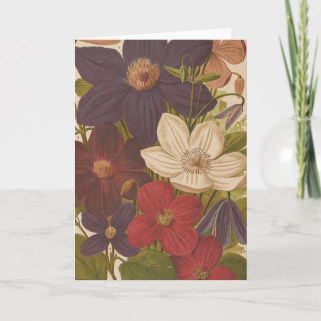 Clematis | George Nicholson Kort (Framsida)