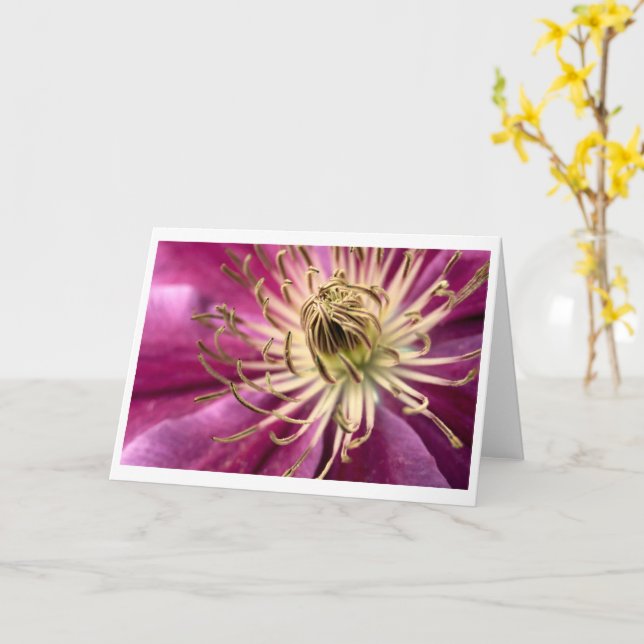 Clematis - gratulationskort kort (Gul blomma)