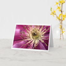Clematis - gratulationskort