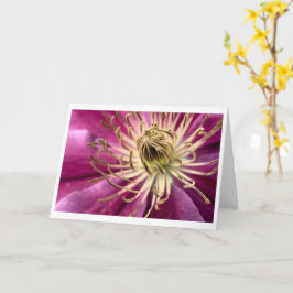 Clematis - gratulationskort kort