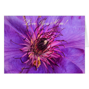 CLEMATIS GRETTINGINGS-KORT HÄLSNINGSKORT