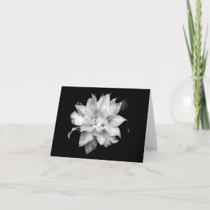 Clematis H 2 Blank Note Card Condolations Sympathy Tack Kort
