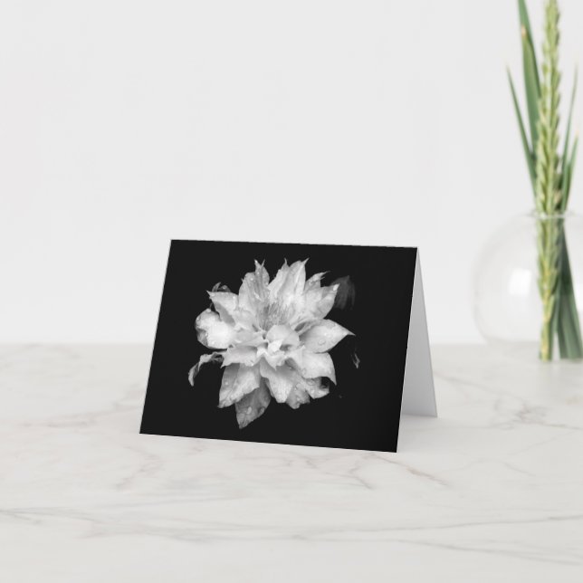 Clematis H 2 Blank Note Card Condolations Sympathy Tack Kort (Framsida)