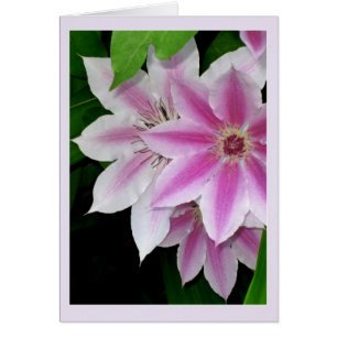 Clematis Hälsningskort