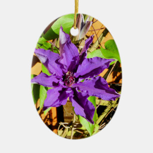CLEMATIS JULGRANSPRYDNAD KERAMIK