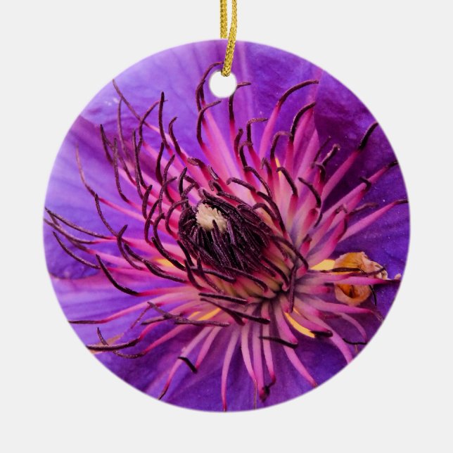 CLEMATIS JULGRANSPRYDNAD KERAMIK (Framsidan)