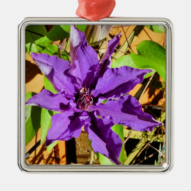 CLEMATIS JULGRANSPRYDNAD METALL (Framsidan)