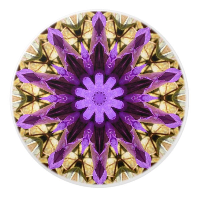 CLEMATIS KNOPP (Framsidan)