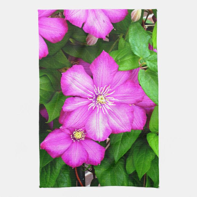 Clematis Kökshandduk (Vertikal)