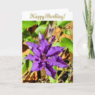 CLEMATIS KORT