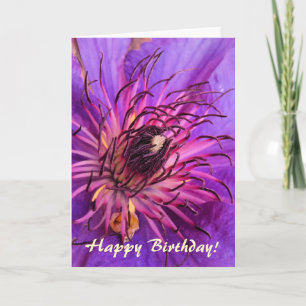 CLEMATIS KORT