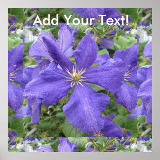 Clematis Lila Grönt Flower Poster