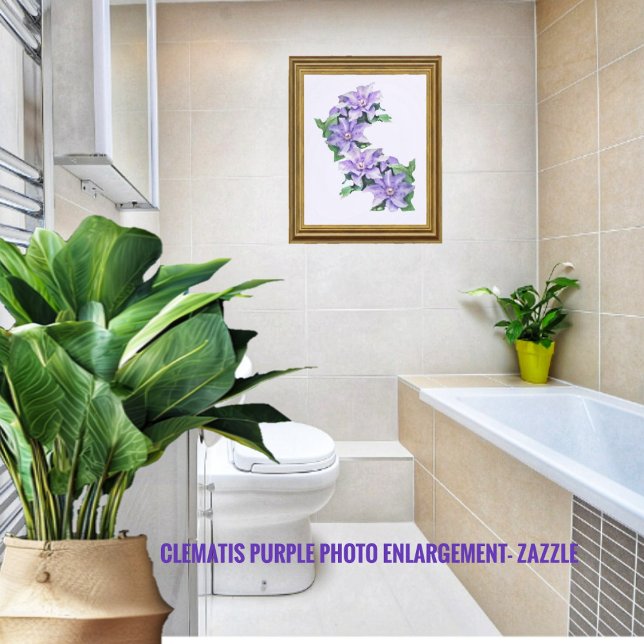 Clematis Lila Photo Utvidgning Fototryck (Skapare uppladdad)