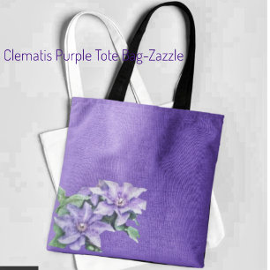 Clematis Lila Tygkasse