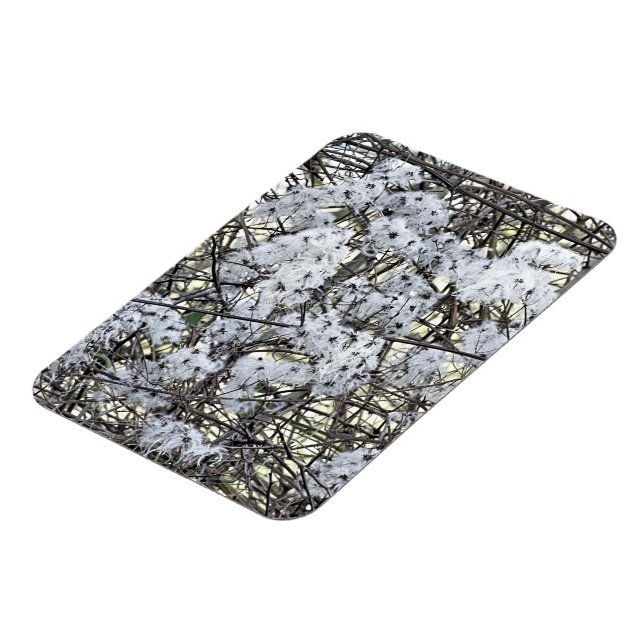 CLEMATIS MAGNET (Vänstra Sidan)