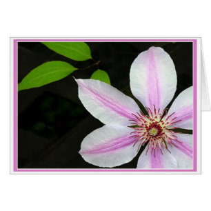 Clematis med Löv Hälsningskort