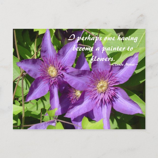Clematis - Monet Vykort (Framsida)