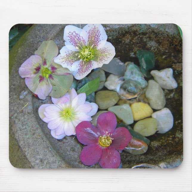 Clematis Mousepad Musmatta (Framsidan)
