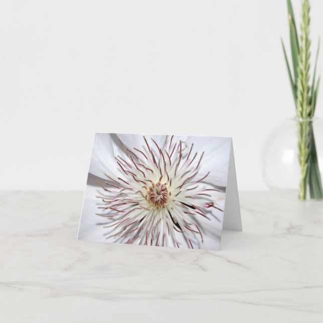 Clematis Notecard Kort (Framsida)