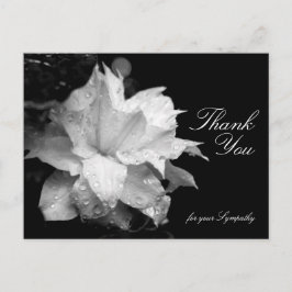 Clematis och Dewdrops Sympathy Tack P Vykort