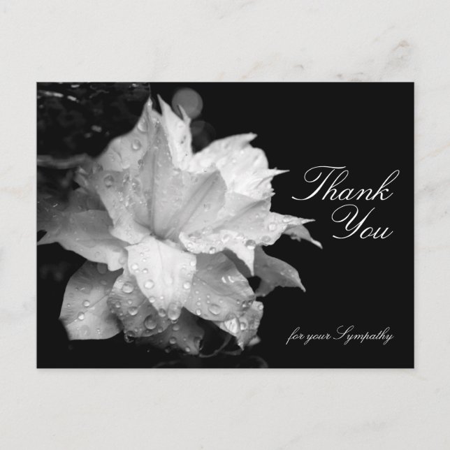 Clematis och Dewdrops Sympathy Tack P Vykort (Framsida)
