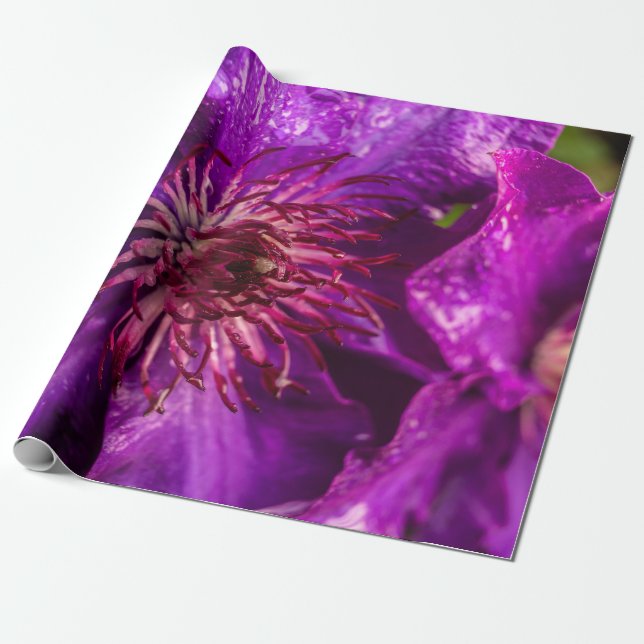 Clematis, ordförande presentpapper (Utrullad)