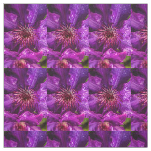 Clematis, ordförande tyg