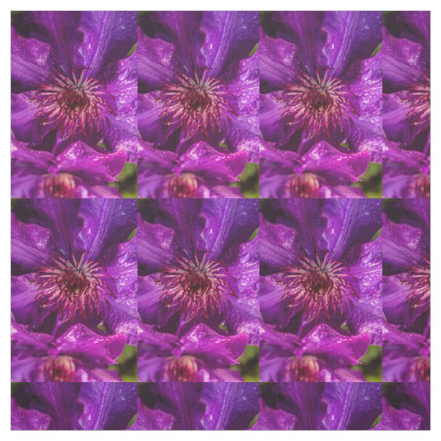 Clematis, ordförande tyg (Provkarta)