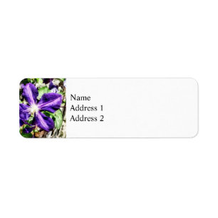 Clematis på en stenvägg returadress etikett