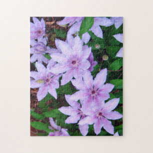 *Clematis*pussel Pussel