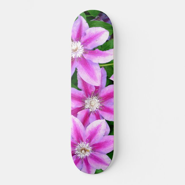 Clematis, rosa blommor mini skateboard bräda 18,5 cm (Framsida)