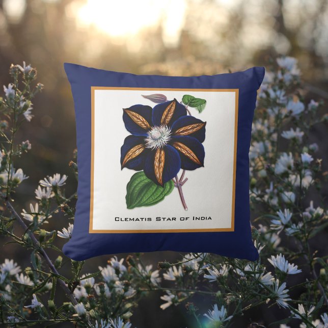 Clematis Star of India Botanical Illustration Kudde (Skapare uppladdad)
