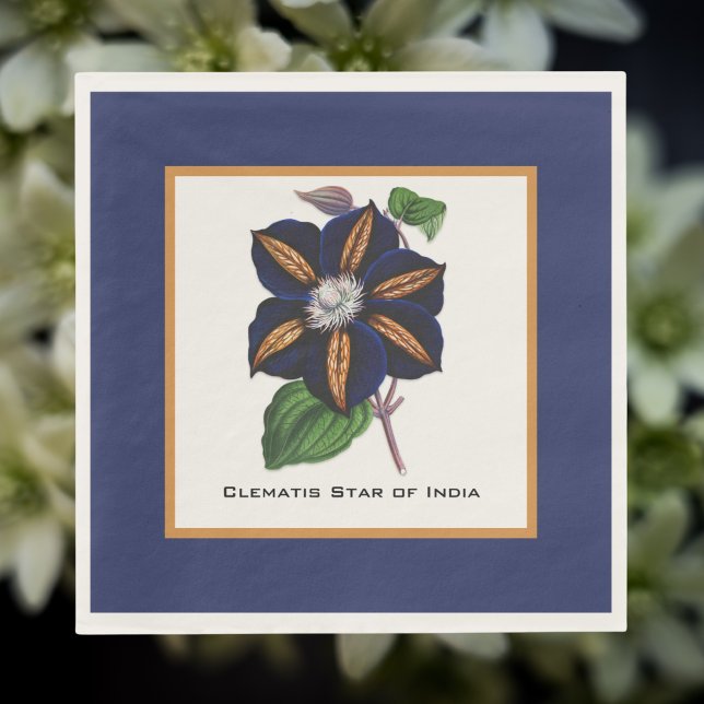 Clematis Star of India Botanical Illustration Pappersservett (Skapare uppladdad)