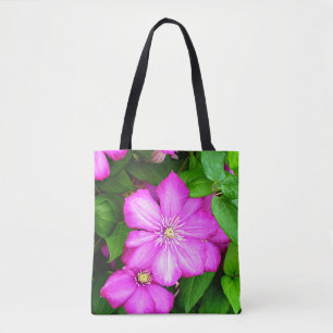 Clematis Tygkasse
