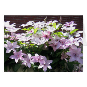 Clematis Vine Hälsningskort