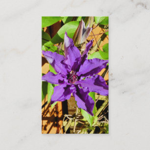 CLEMATIS VISITKORT